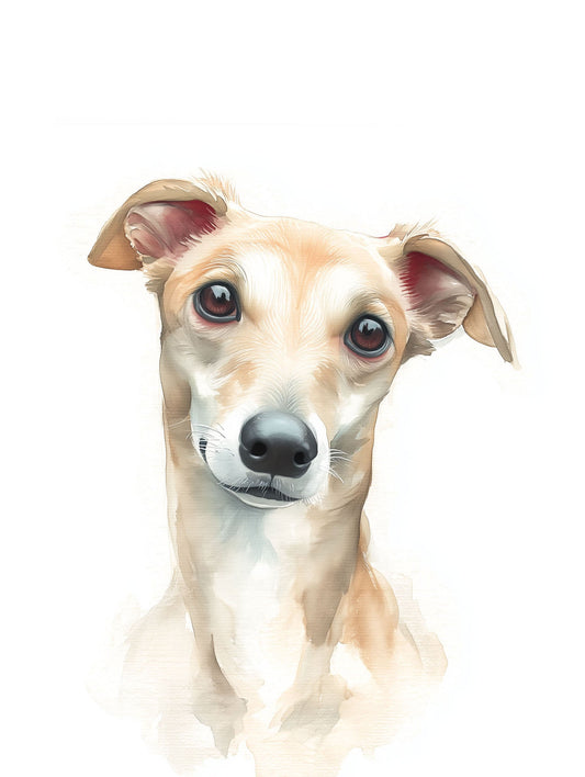 Whippets, Wiggles & Watercolours