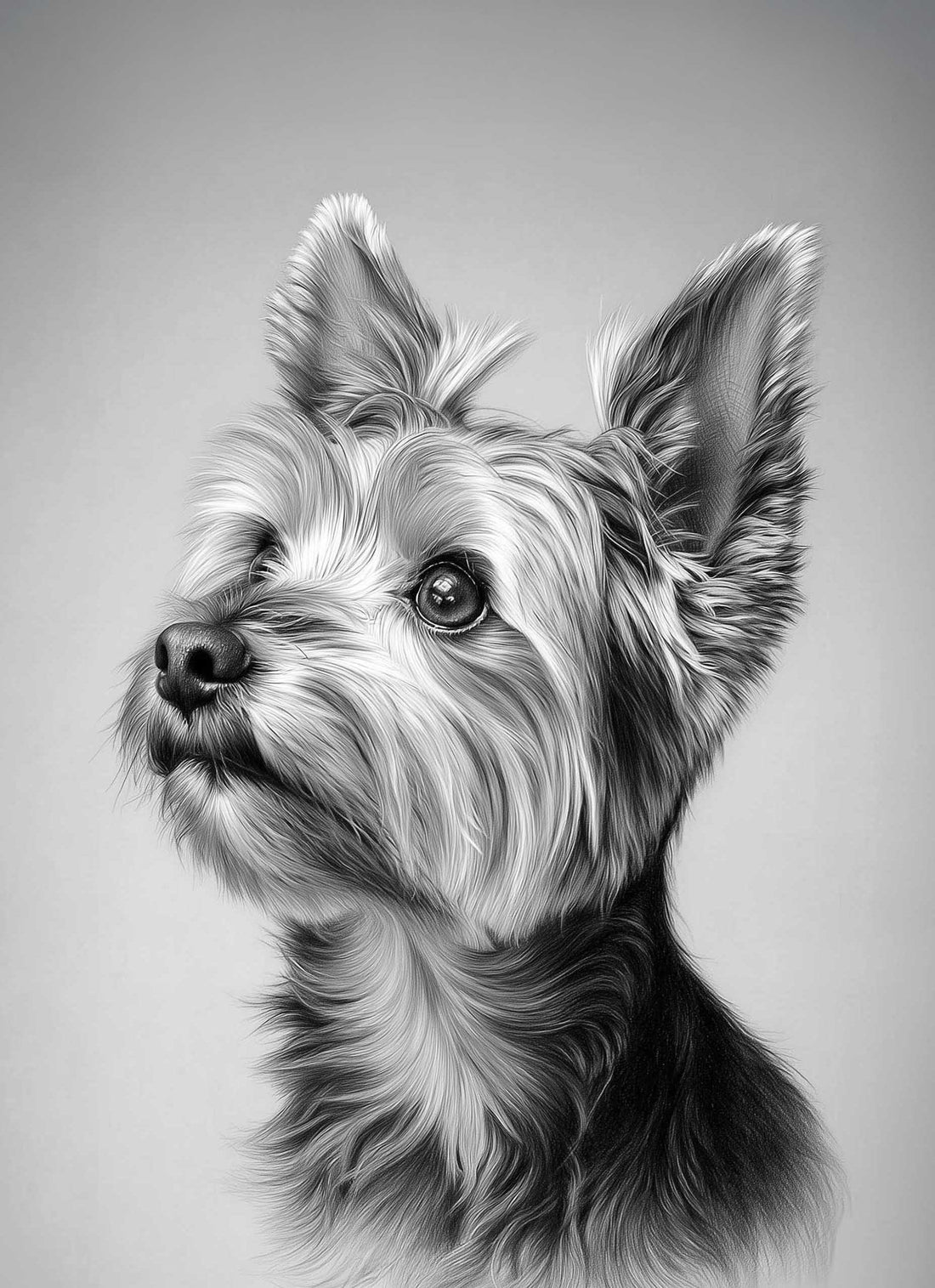 Paws, pencils and personality! Where timeless beauty meets pet portraiture