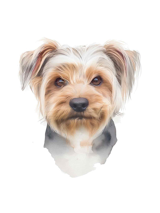 A watercolour pet portrait of a yorkshire terrier.